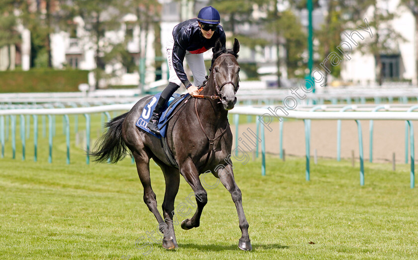 Grey-Man-0007 
 GREY MAN (M Grandin) winner of The Prix Francois Boutin
Deauville 13 Aug 2023 - Pic Steven Cargill / Racingfotos.com