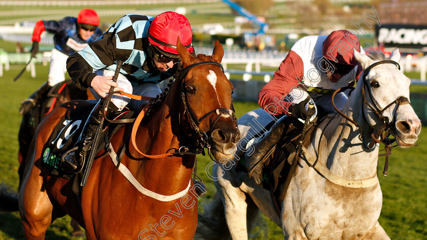 Nietzsche-0007 
 NIETZSCHE (left, Danny McMenamin) beats SILVER STREAK (right) in The Unibet Greatwood Handicap Hurdle
Cheltenham 18 Nov 2018 - Pic Steven Cargill / Racingfotos.com