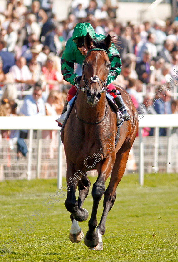 Ben-Vrackie-0001 
 BEN VRACKIE (Frankie Dettori)
York 24 Aug 2019 - Pic Steven Cargill / Racingfotos.com