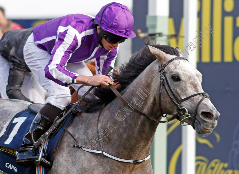 Capri-0012 
 CAPRI (Ryan Moore) wins The William Hill St Leger Doncaster 16 Sep 2017 - Pic Steven Cargill / Racingfotos.com