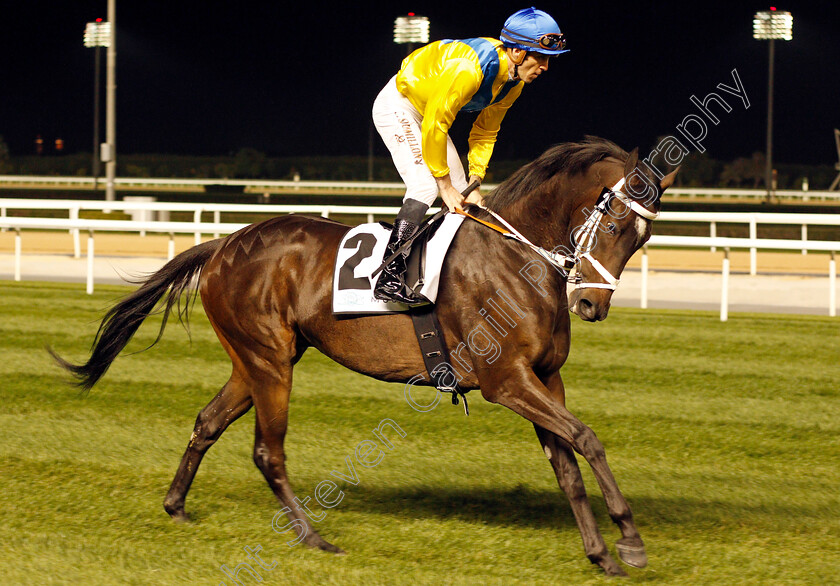 Light-The-Lights-0001 
 LIGHT THE LIGHTS (Christophe Soumillon) winner of The Mubadala Global Trophy Handicap Meydan 18 Jan 2018 - Pic Steven Cargill / Racingfotos.com