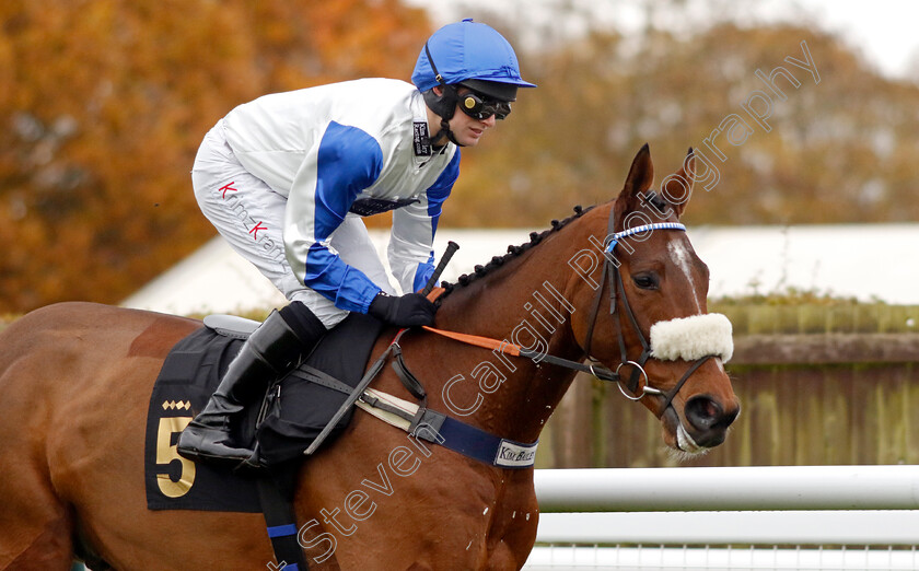 Grand-Escaparde-0001 
 GRAND ESCAPARDE (David Bass)
Warwick 22 Nov 2023 - Pic Steven Cargill / Racingfotos.com