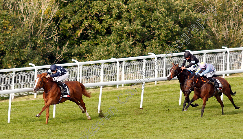 Autumn-War-0003 
 AUTUMN WAR (Callum Shepherd) beats DONO DI DIO (right) in The netbet.co.uk Novice Stakes
Goodwood 4 Sep 2018 - Pic Steven Cargill / Racingfotos.com