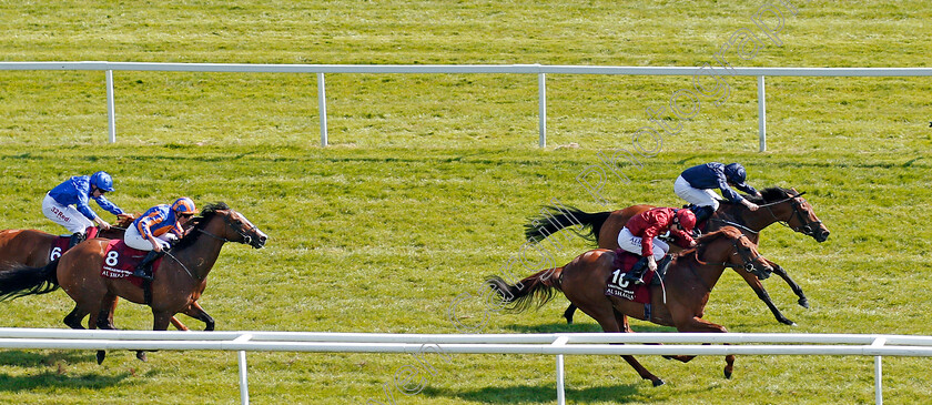 Rhododendron-0006 
 RHODODENDRON (farside, Ryan Moore) beats LIGHTNING SPEAR (nearside) in The Al Shaqab Lockinge Stakes Newbury 19 May 2018 - Pic Steven Cargill / Racingfotos.com