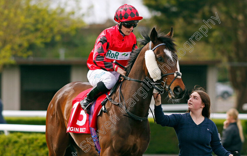 Cannon-Rock-0001 
 CANNON ROCK (Aidan Keeley)
Kempton 6 Apr 2024 - Pic Steven Cargill / Racingfotos.com