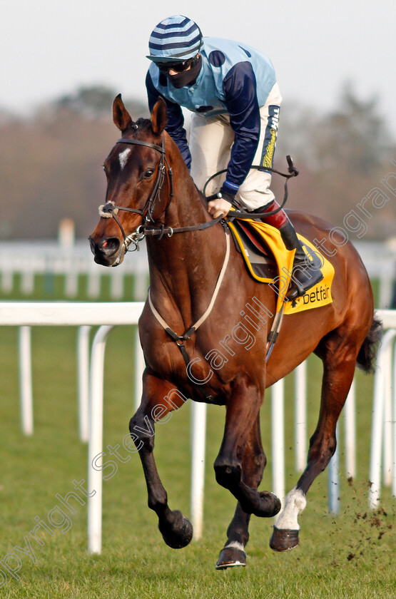 Riders-Onthe-Storm-0001 
 RIDERS ONTHE STORM (Sam Twiston-Davies)
Ascot 20 Feb 2021 - Pic Steven Cargill / Racingfotos.com