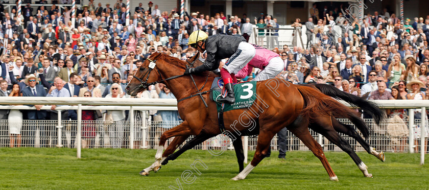 Stradivarius-0005 
 STRADIVARIUS (Frankie Dettori) wins The Weatherby's Hamilton Lonsdale Cup
York 20 Aug 2021 -- Pic Steven Cargill / Racingfotos.com