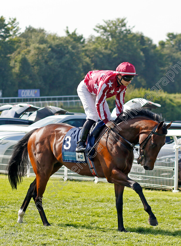 Gannas-0001 
 GANNAS (Richard Kingscote)
Goodwood 30 Jul 2024 - Pic Steven Cargill / Racingfotos.com