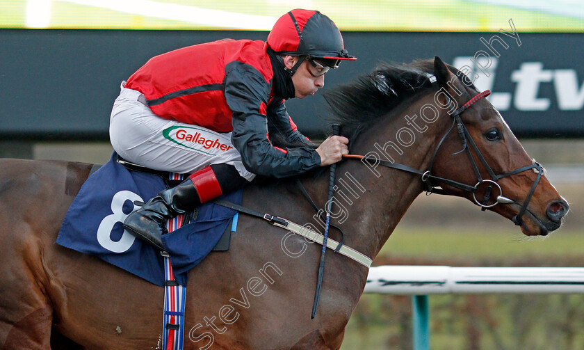 Aldrich-Bay-0007 
 ALDRICH BAY (Shane Kelly) wins The #Betyourway At Betway Handicap Div1
Lingfield 19 Dec 2020 - Pic Steven Cargill / Racingfotos.com