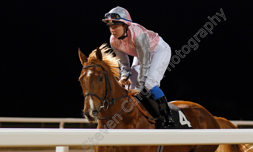 Bond-Street-Beau-0001 
 BOND STREET BEAU (Katherine Glenister) Chelmsford 15 Feb 2018 - Pic Steven Cargill / Racingfotos.com