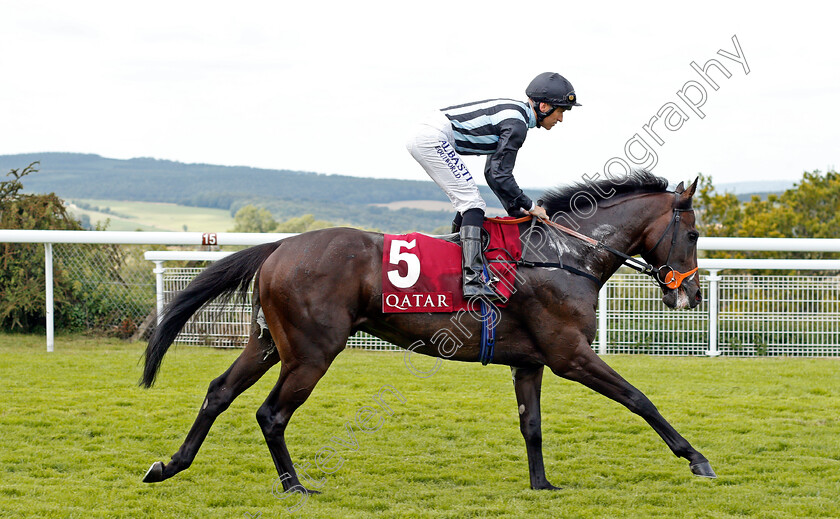 Floating-Artist-0001 
 FLOATING ARTIST (Pat Dobbs)
Goodwood 1 Aug 2019 - Pic Steven Cargill / Racingfotos.com