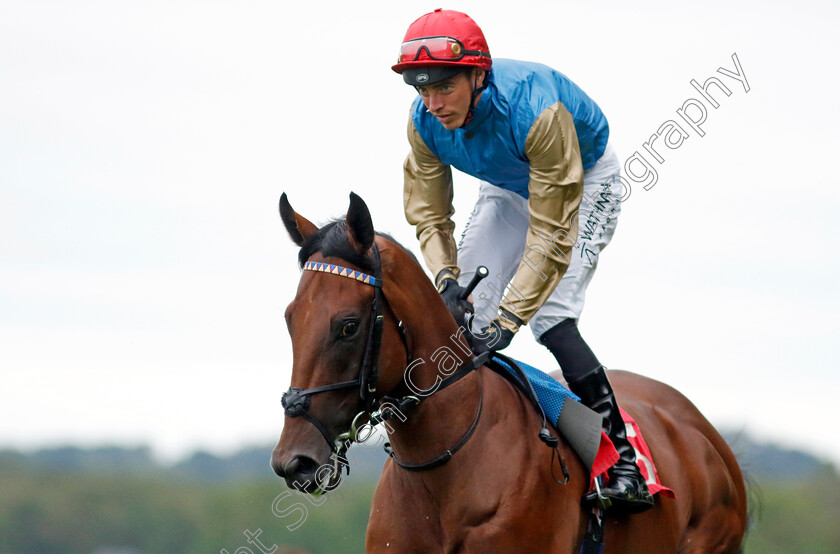 Dunamase-0003 
 DUNAMASE (James Doyle)
Sandown 8 Aug 2024 - Pic Steven Cargill / Racingfotos.com