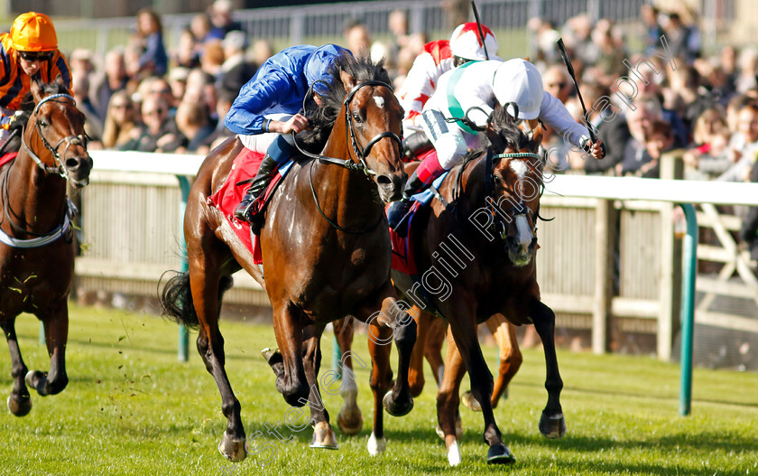 Silver-Knott-0004 
 SILVER KNOTT (left, William Buick) beats EPICTETUS (right) in The Emirates Autumn Stakes
Newmarket 8 Oct 2022 - Pic Steven Cargill / Racingfotos.com