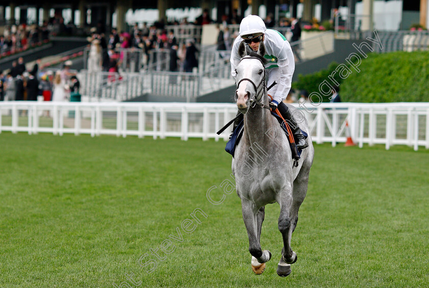 Albaflora-0001 
 ALBAFLORA (James Doyle)
Ascot 19 Jun 2021 - Pic Steven Cargill / Racingfotos.com