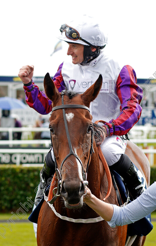 Laurens-0006 
 LAURENS (P J McDonald) after The William Hill May Hill Stakes Doncaster 14 Sep 2017 - Pic Steven Cargill / Racingfotos.com