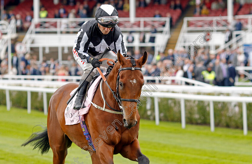 Hadrianus-0001 
 HADRIANUS (Franny Norton)
Chester 10 May 2023 - pic Steven Cargill / Racingfotos.com