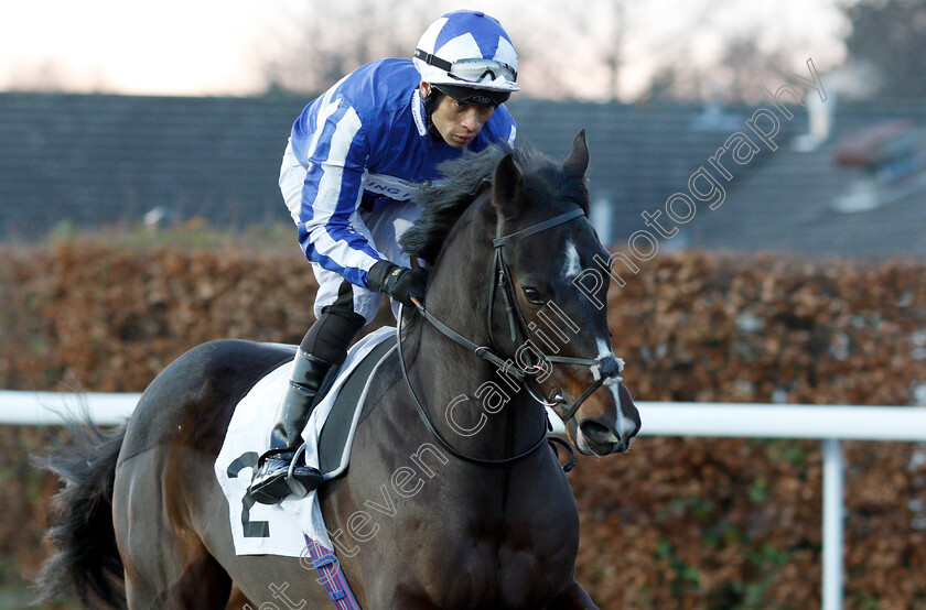 Fox-Happy-0002 
 FOX HAPPY (Sean Levey)
Kempton 12 Dec 2018 - Pic Steven Cargill / Racingfotos.com