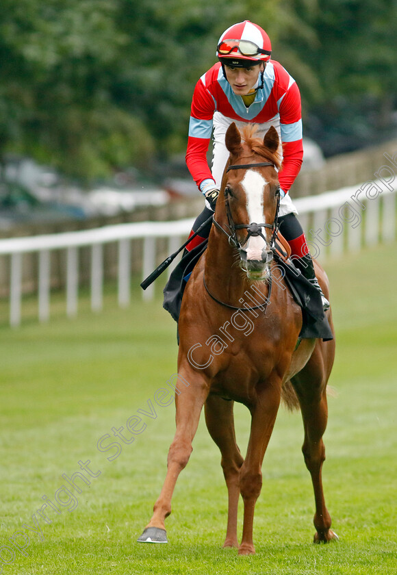 Fleurir-0001 
 FLEURIR (David Egan)
Newmarket 30 Jun 2023 - Pic Steven Cargill / Racingfotos.com