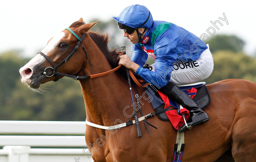 Elysees-0004 
 ELYSEES (Martin Harley) wins The Portugal V Spain Betting At 188bet Handicap
Sandown 15 Jun 2018 - Pic Steven Cargill / Racingfotos.com