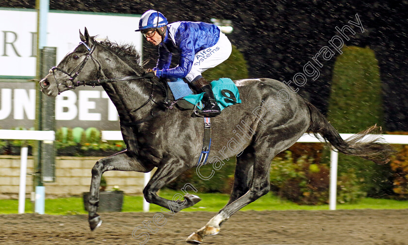 Mostabshir-0002 
 MOSTABSHIR (Jim Crowley) wins The Unibet British Stallion Studs EBF Novice Stakes Div2
Kempton 16 Nov 2022 - Pic Steven Cargill / Racingfotos.com