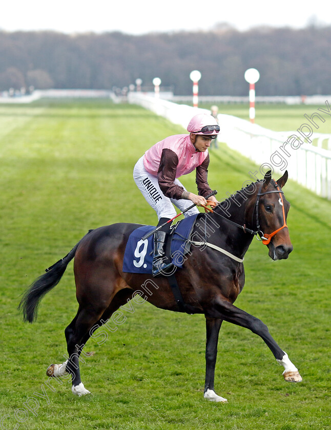 Nobody-Told-Me-0001 
 NOBODY TOLD ME (Thore Hammer Hansen)
Doncaster 2 Apr 2023 - Pic Steven Cargill / Racingfotos.com