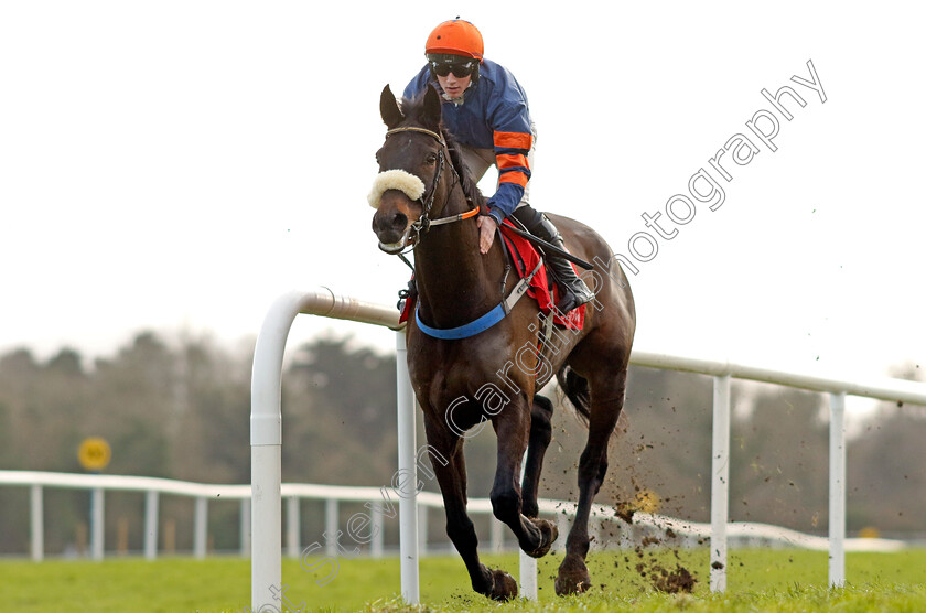 Midweek-Voices-0001 
 MIDWEEK VOICES (Cian Quirke) wins The Adare Manor Opportunity Handicap Chase
Punchestown 12 Jan 2025 - Pic Steven Cargill / Racingfotos.com