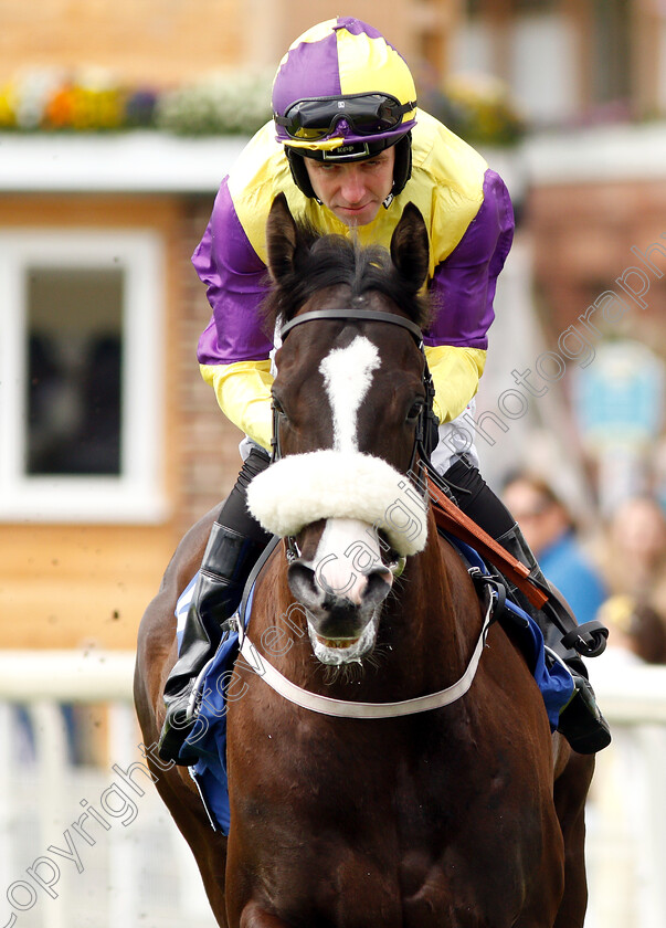 Rathbone-0001 
 RATHBONE (Tom Eaves)
York 15 Jun 2019 - Pic Steven Cargill / Racingfotos.com