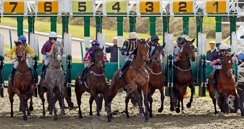 After-Eight-0005 
 AFTER EIGHT (stall 1, Callum Hutchinson) breaks with the field on his way to winning The Betway Median Auction Maiden Stakes
Lingfield 9 Mar 2022 - Pic Steven Cargill / Racingfotos.com