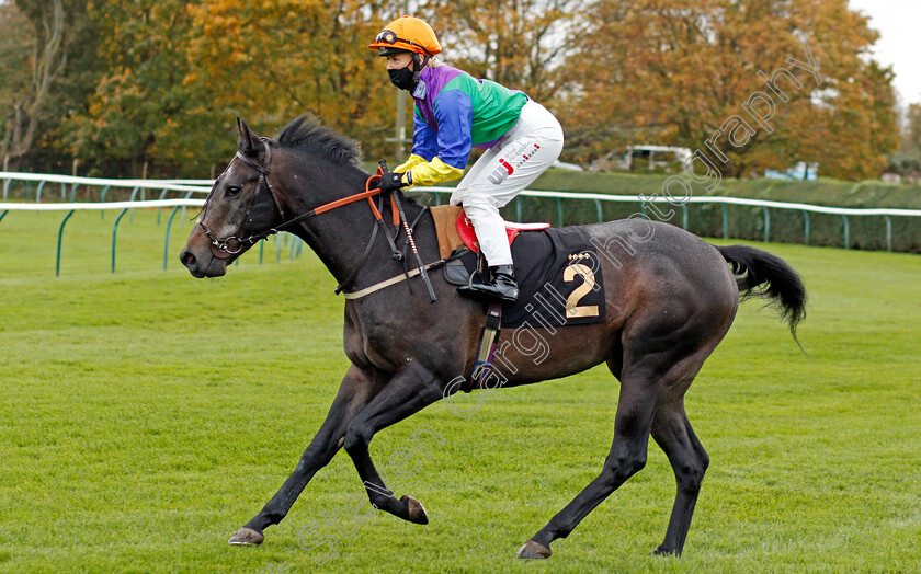 Imperium-Blue-0001 
 IMPERIUM BLUE (Faye McManoman)
Nottingham 28 Oct 2020 - Pic Steven Cargill / Racingfotos.com