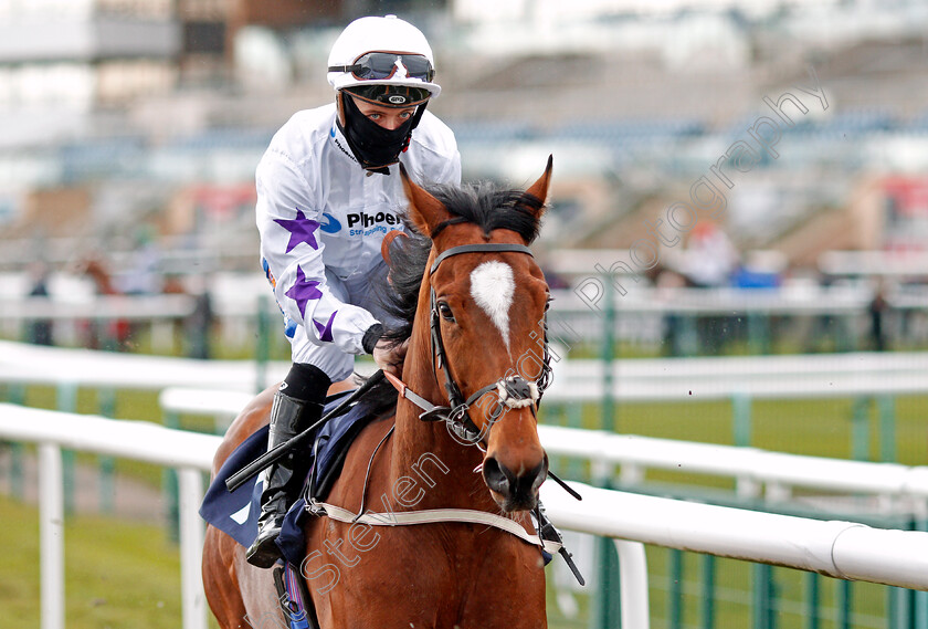 Seas-Of-Elzaam-0001 
 SEAS OF ELZAAM (Shane Gray)
Doncaster 28 Mar 2021 - Pic Steven Cargill / Racingfotos.com