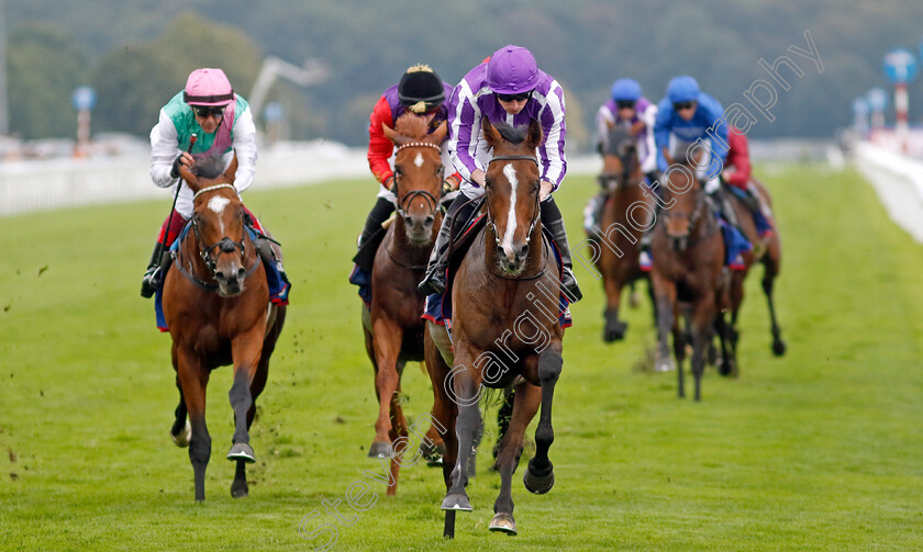 Continuous-0002 
 CONTINUOUS (Ryan Moore) wins The Betfred St Leger Stakes
Doncaster 16 Sep 2023 - Pic Steven Cargill / Racingfotos.com