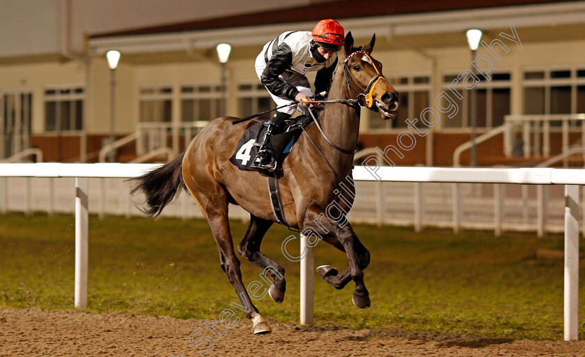 Polar-Ice-0001 
 POLAR ICE (Luke Morris)
Chelmsford 22 Jan 2021 - Pic Steven Cargill / Racingfotos.com