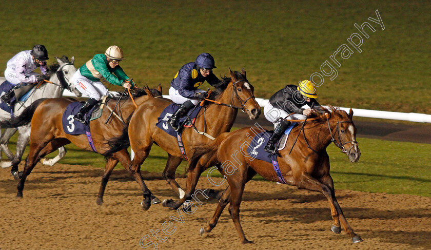 Amniarix-0002 
 AMNIARIX (Richard Kingscote) wins The Get Your Ladbrokes Daily Odds Boost Fillies Stakes
Wolverhampton 4 Jan 2021 - Pic Steven Cargill / Racingfotos.com