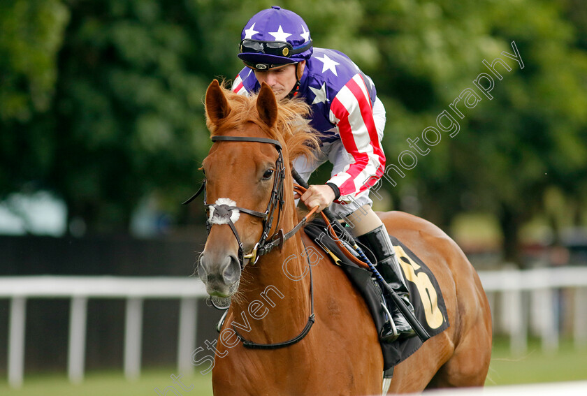 D-Day-Arvalenreeva-0001 
 D DAY ARVALENREEVA (Kieran O'Neill)
Newmarket 1 Jul 2023 - Pic Steven Cargill / Racingfotos.com