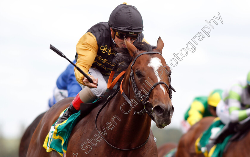 Waldpfad-0008 
 WALDPFAD (Andrea Atzeni) wins The bet365 Hackwood Stakes
Newbury 20 Jul 2019 - Pic Steven Cargill / Racingfotos.com