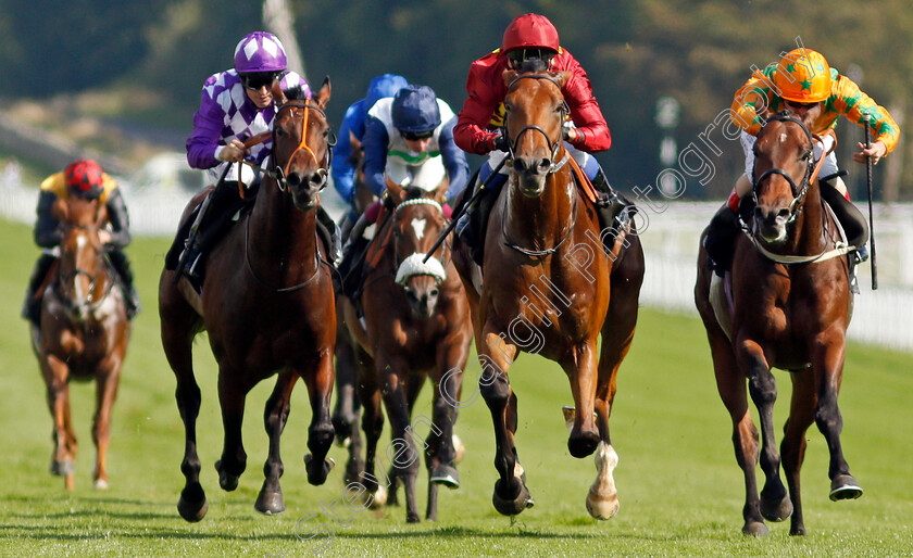 War-Horse-0002 
 WAR HORSE (centre, Marco Ghiani) beats SUPER STARS (right) and HAPAP (left) in The Ryan Canter Club Future Stayers EBF Maiden Stakes
Goodwood 22 Sep 2021 - Pic Steven Cargill / Racingfotos.com