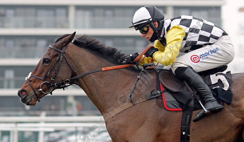 Next-Destination-0008 
 NEXT DESTINATION (Harry Cobden) wins The Ladbrokes John Francome Novices Chase
Newbury 28 Nov 2020 - Pic Steven Cargill / Racingfotos.com