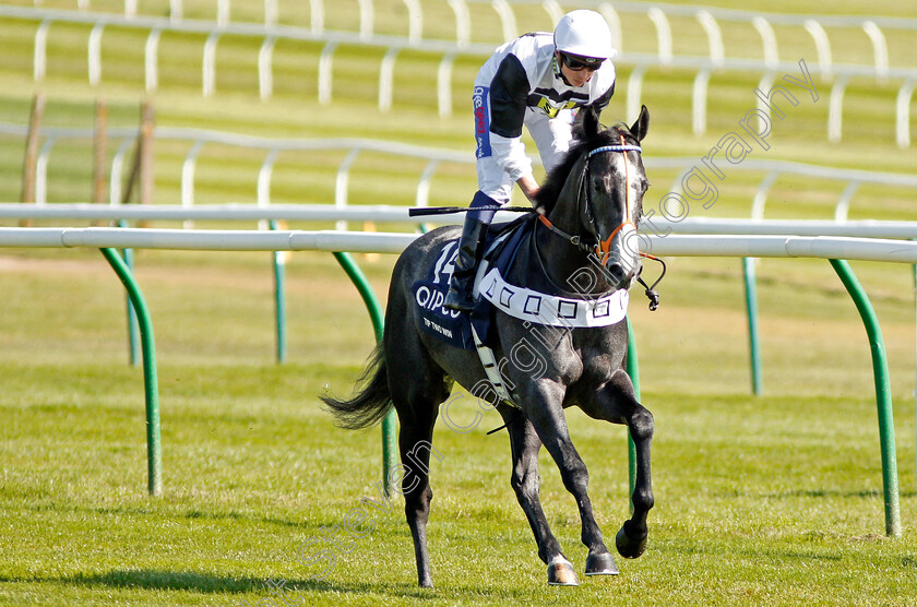 Tip-Two-Win-0001 
 TIP TWO WIN (David Probert) Newmarket 5 May 2018 - Pic Steven Cargill / Racingfotos.com