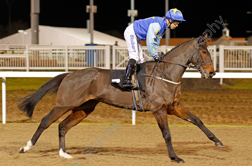 Kentuckyconnection-0001 
 KENTUCKYCONNECTION (Graham Lee) Chelmsford 7 Dec 2017 - Pic Steven Cargill / Racingfotos.com