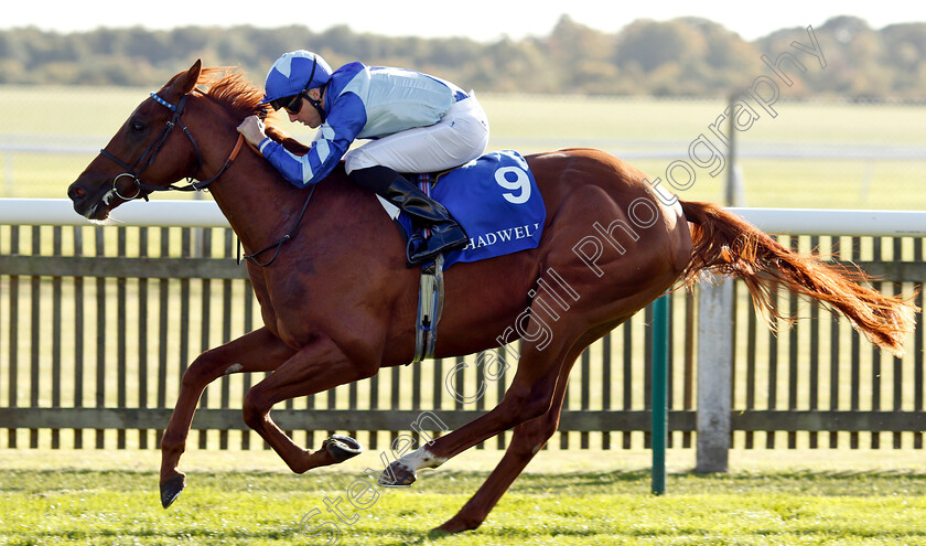 Skardu-0006 
 SKARDU (Martin Harley) wins The Derrinstown British EBF Maiden Stakes
Newmarket 28 Sep 2018 - Pic Steven Cargill / Racingfotos.com