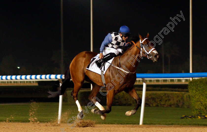 My-Catch-0004 
 MY CATCH (Pat Dobbs) wins The Al Shindagha Sprint Meydan 8 Feb 2018 - Pic Steven Cargill / Racingfotos.com