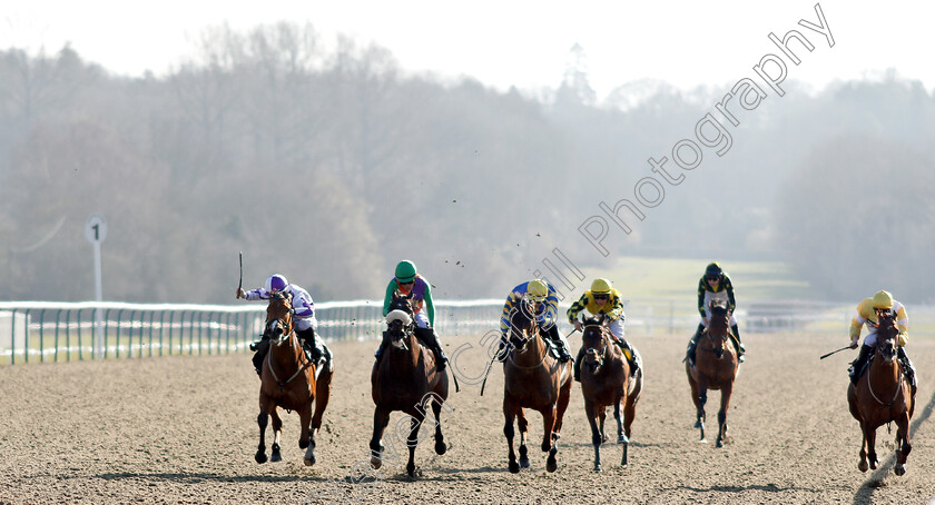 Gorgeous-Noora-0003 
 GORGEOUS NOORA (left, Hollie Doyle) beats ROYAL BIRTH (2nd left) in The Betway Hever Sprint Stakes
Lingfield 23 Feb 2019 - Pic Steven Cargill / Racingfotos.com