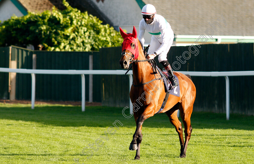 Mostly-0002 
 MOSTLY (Robert Havlin)
Yarmouth 25 Aug 2020 - Pic Steven Cargill / Racingfotos.com