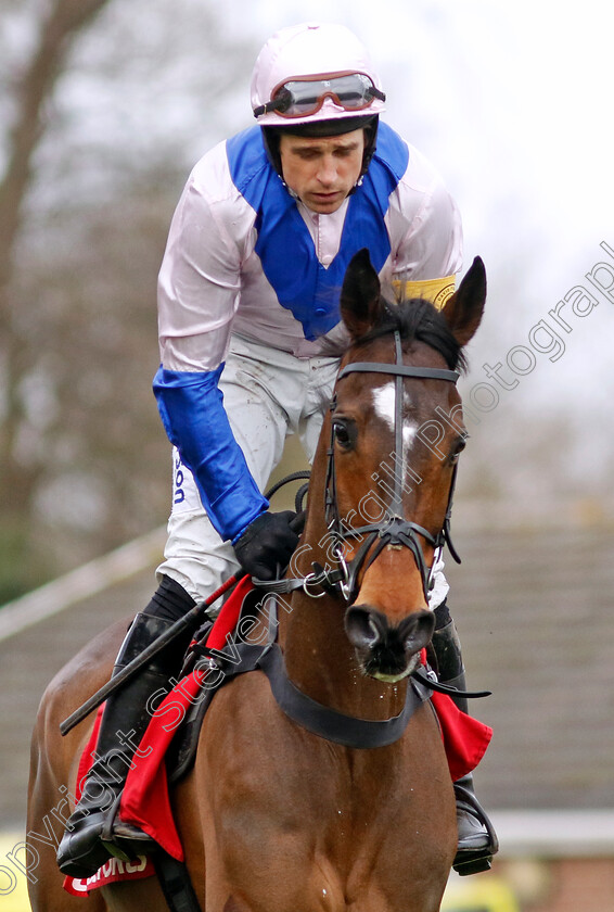 Boombawn-0001 
 BOOMBAWN (Harry Skelton)
Kempton 22 Feb 2025 - Pic Steven Cargill / Racingfotos.com