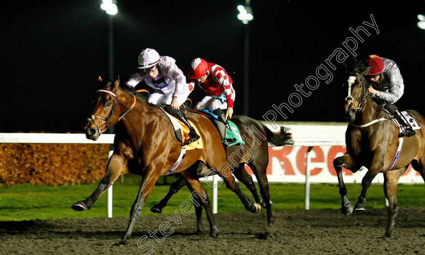 Total-Commitment-0002 
 TOTAL COMMITMENT (Adam McNamara) beats AL MESSILA (right) in The 32Red Casino British Stallion Studs EBF Novice Stakes Div2
Kempton 5 Dec 2018 - Pic Steven Cargill / Racingfotos.com