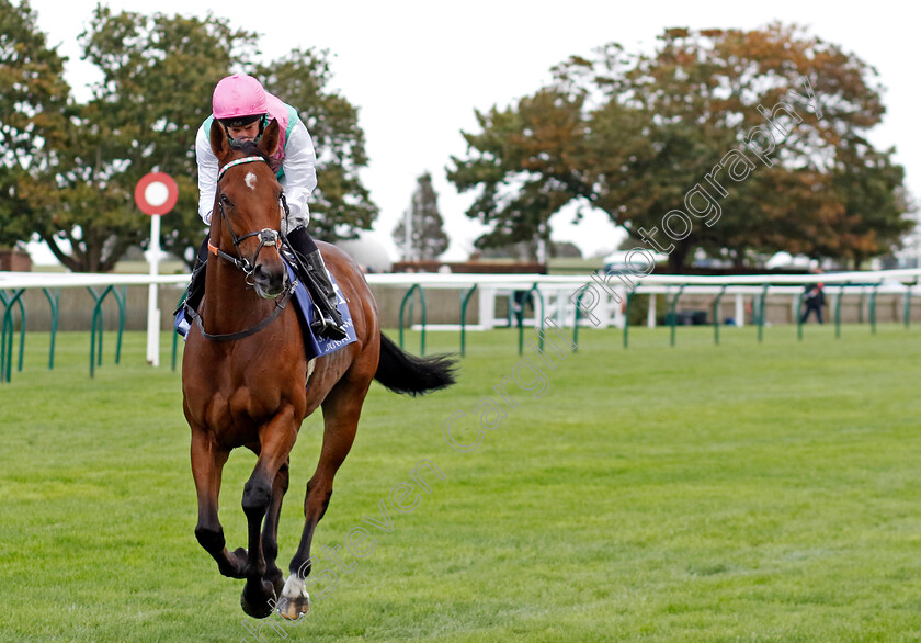 Time-Lock-0006 
 TIME LOCK (Ryan Moore) winner of The Princess Royal Al Basti Equiworld Dubai Stakes
Newmarket 27 Sep 2024 - Pic Steven Cargill / Racingfotos.com