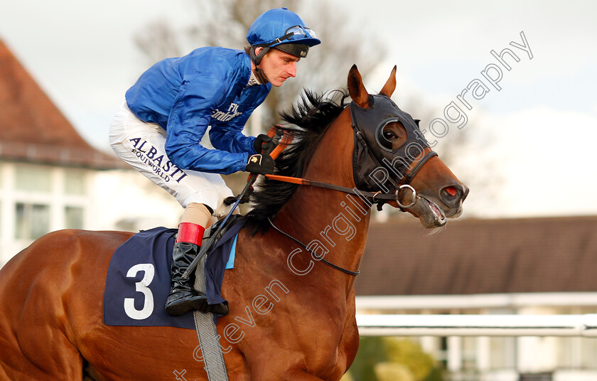 Marhaban-0002 
 MARHABAN (Adam Kirby) winner of The Ladbrokes Home Of The Odds Boost Novice Stakes
Lingfield 18 Jan 2019 - Pic Steven Cargill / Racingfotos.com