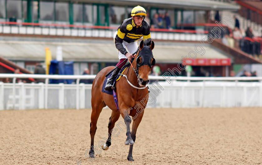 Doctor-Khan-Junior-0001 
 DOCTOR KHAN JUNIOR (Harry Russell)
Wolverhampton 9 Mar 2024 - Pic Steven Cargill / Racingfotos.com