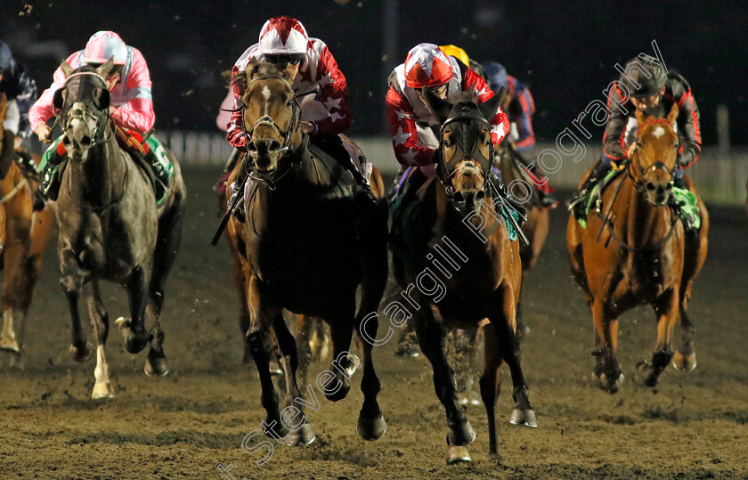 Kalamunda-0001 
 KALAMUNDA (left, Daniel Muscutt) beats NATIVE KING (right) in The North Farm Stud Handicap Div1
Kempton 2 Oct 2024 - Pic Steven Cargill / Racingfotos.com