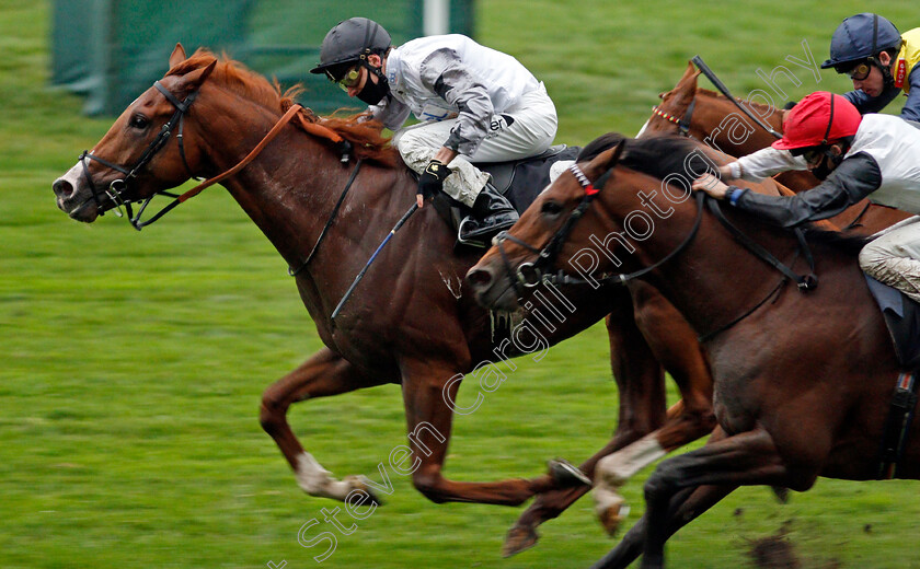 Tyson-Fury-0004 
 TYSON FURY (Kieran Shoemark) wins The Charlie Waller Trust Novice Stakes
Ascot 2 Oct 2020 - Pic Steven Cargill / Racingfotos.com